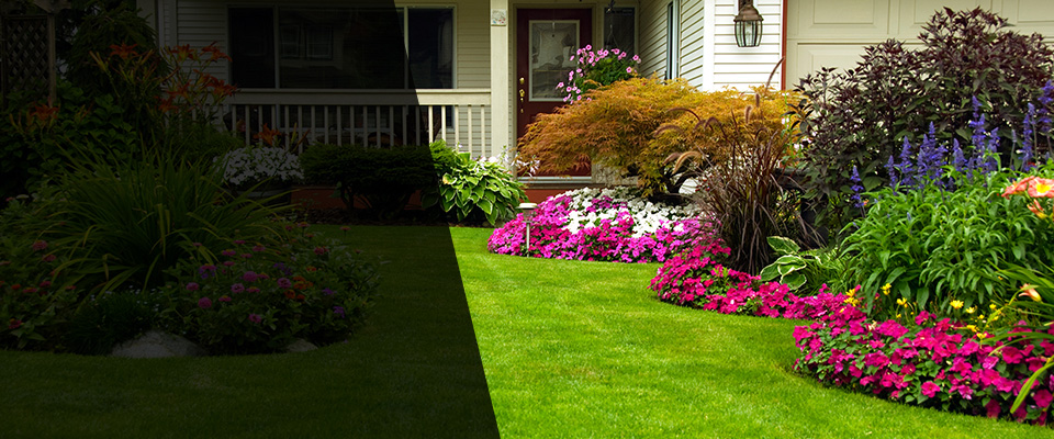 Bloomingdale Landscapers